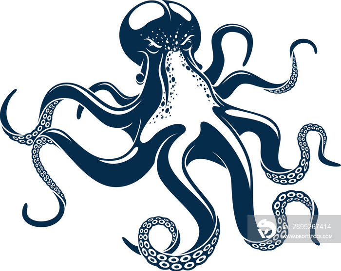 Marine animal Octopus isolated eight-limb mollusc