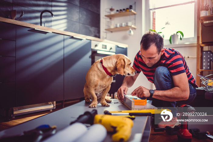 Man with dog building kitchen cabinets