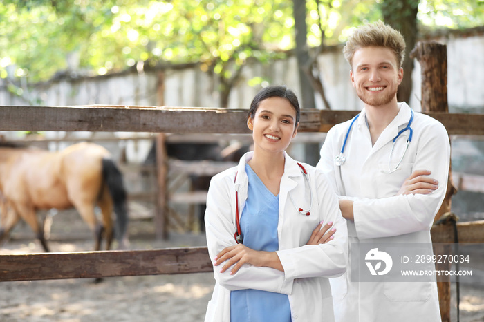 Veterinarians near paddock with horse on farm