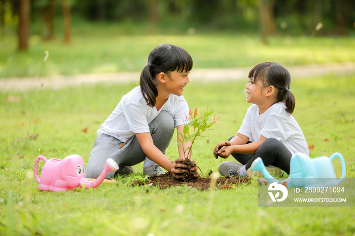 Cute little girl asia planting young tree on black soil in the park.Which increases the development and enhances learning skills as save world new life,environmental conservation concept.