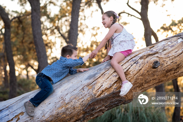 Niños felices jugando divertidos disfrutando subiendo escalando trepando un árbol un tronco en el parque al aire libre en un atardecer