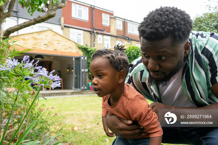 Father and daughter (2-3) looking at flowers in garden