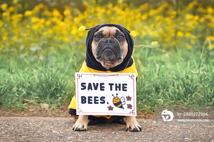 Cute French Bulldog dog wearing bee costume with demonstration sign saying ’Save the bees’