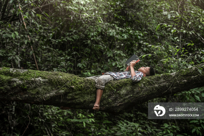 Boy read book or holy bible on tree with natural background