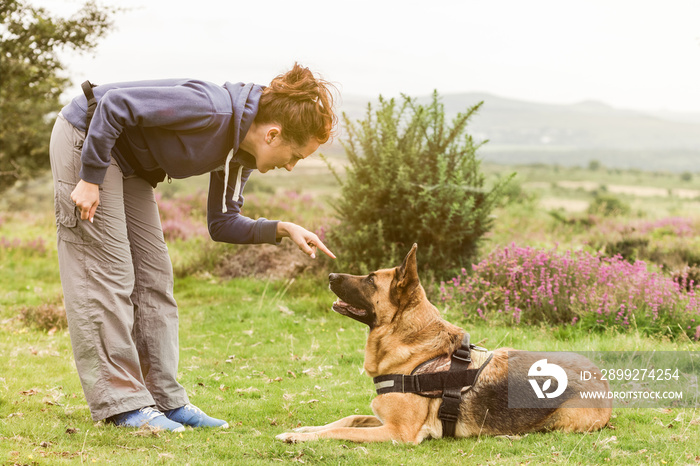 Dog training session outdoor