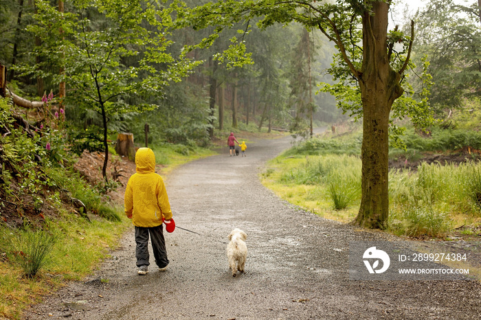 Father and three children with pet maltese dog, walking in a forest in a heavy rain