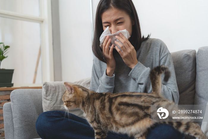 Diseases from pets concept. Woman is sneezing from fur allergy on the sofa and playing with her cat.