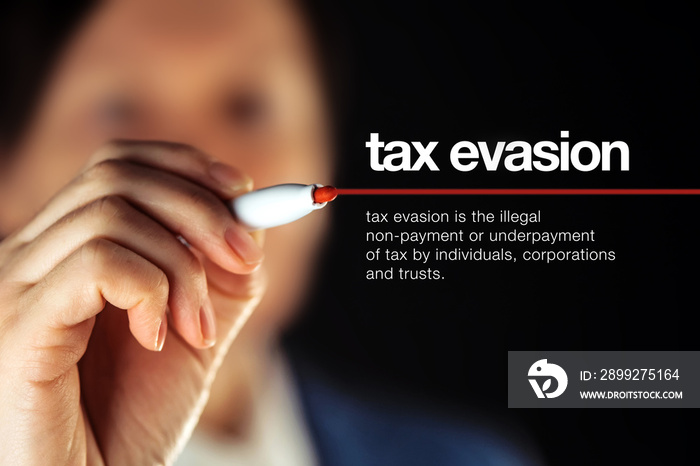 Tax evasion definition