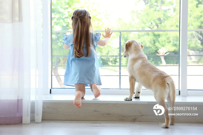 Cute child with labrador retriever on window sill at home