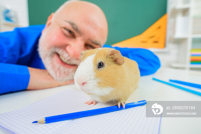 Back to school. Zoology. September 1. Funny teacher. Learning, education, school concept. Male teacher in classroom. Happy teacher with Guinea pig. Nature lessons. Teachers day.