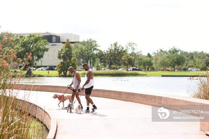 USA, Louisiana, Gay couple walking on boardwalk with dogs