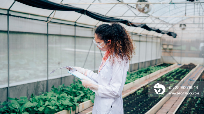 Scientists examined the quality of vegetable organic lettuce from hydroponic farm and recorded them in the clipboard.