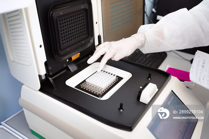 Female genetics worker placing the strips with DNA into the PCR thermal cycler or amplifier for PCR diagnostics