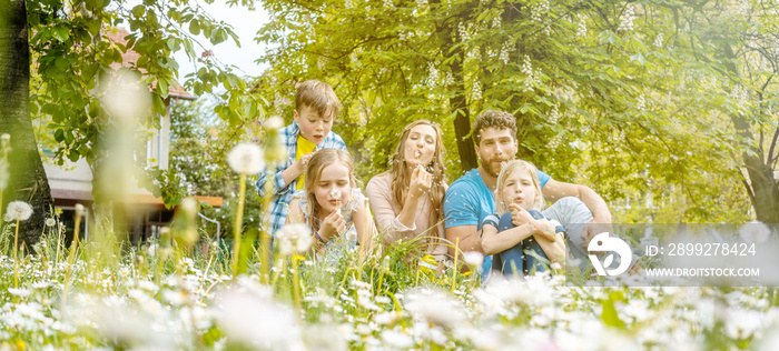 Family of five sitting on a meadow blowing dandelion flowers