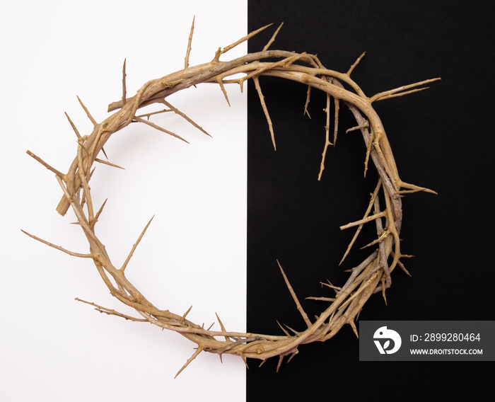 Jesus’ Crown of Thorns