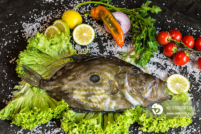 John Dory raw fish with tomatoes, lemon, salad, parsley, eat composition