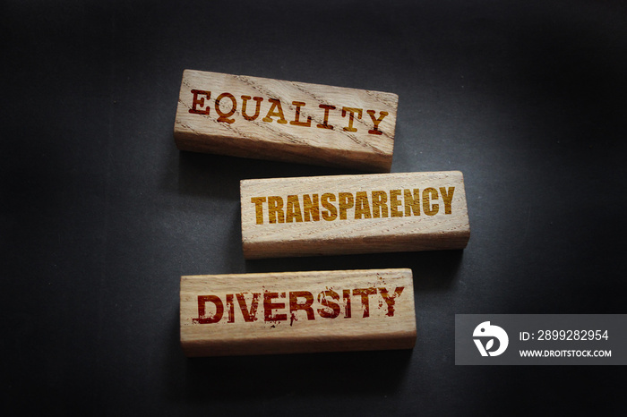 EEquality transparency diversity words written on wooden blocks. Equal rights social concept