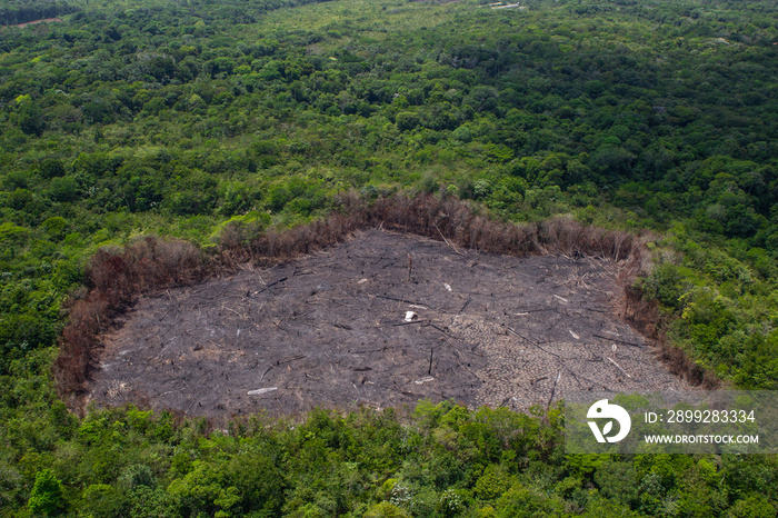 Deforestation of the Amazon rainforest. Patch of forest burnt to the ground. Environment, ecology, climate concepts.