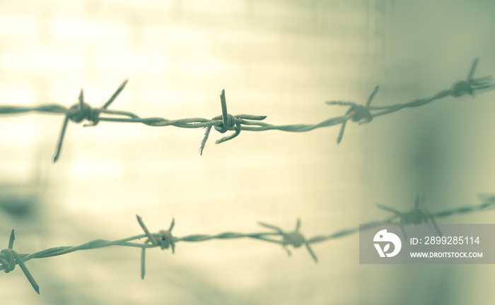 Holocaust and death concept: Close up abstract barbed wire of jail and prison