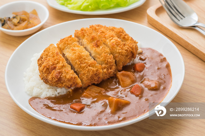 Crispy fried pork cutlet with curry and rice, Japanese food