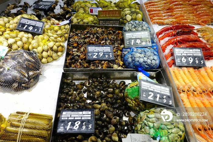 The range of fresh seafood in popular supermarket