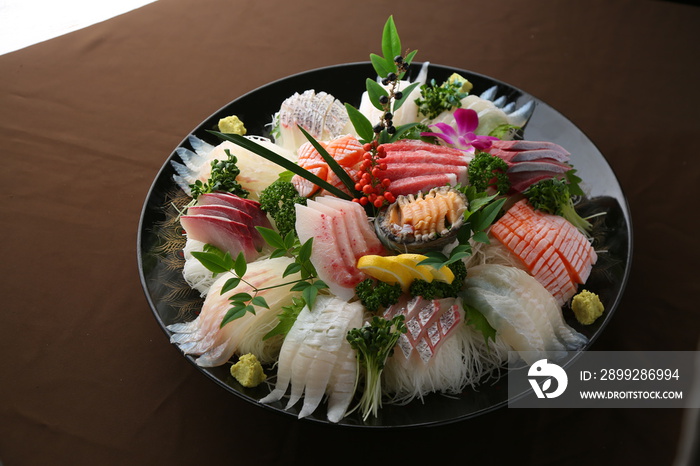 스시 사시미 초밥 생선 sushi sashimi