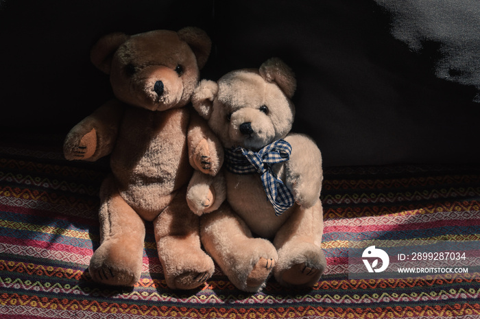 Two stuffed animal bears sitting in the light