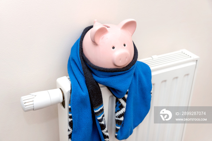 Piggy bank on radiator. Heating cost concept