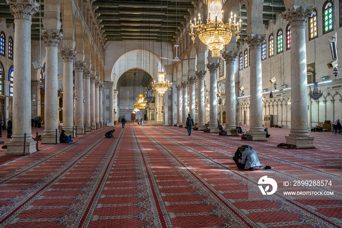 Prayer Meeting Umayyad Mosque, Damascus, Syria