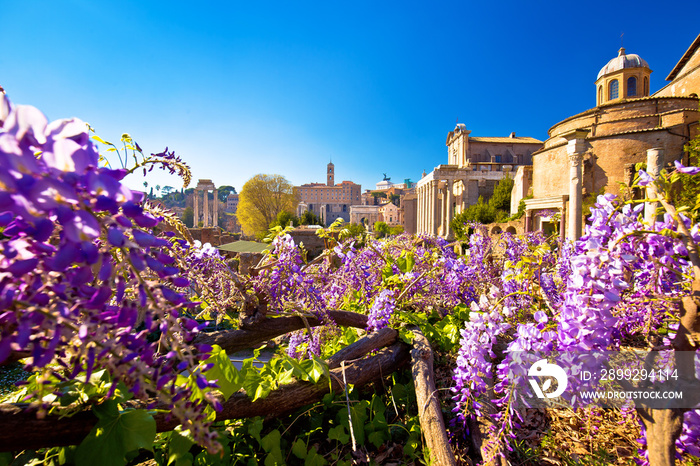 Historic Roman Forum in Rome scenic springtime view