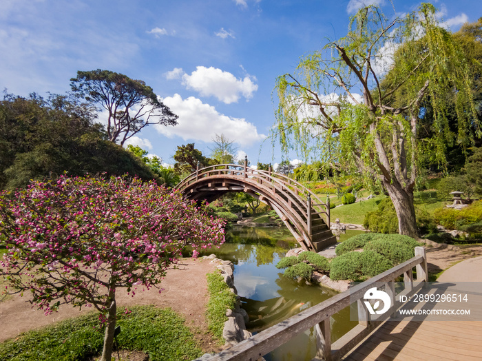 Beautiful Japanese Garden of Huntington Library