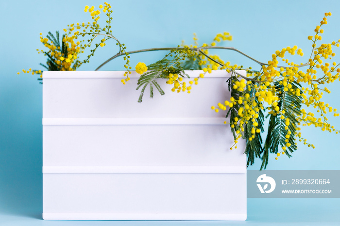 Empty white frame and yellow mimosa flowers with copy space. Mockup, flowers and blank copy space on