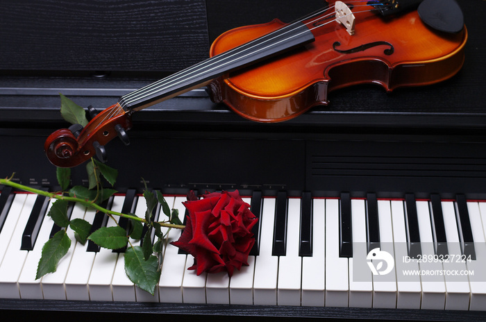 Keyboard piano, violin and red rose.