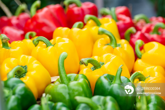 有机蔬菜市场上五颜六色的甜椒