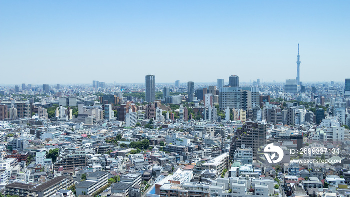 青空を背景に文京区から見た台東区方面の景色