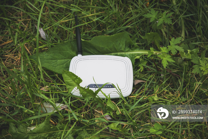 绿草如茵的Wi-Fi路由器。大自然中的互联网连接。森林和现代科技