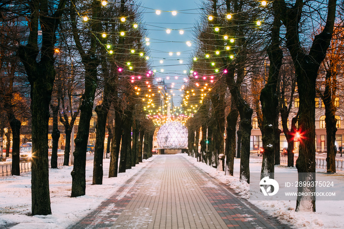 拉脱维亚里加。自由街滨海大道公园的夜景装饰