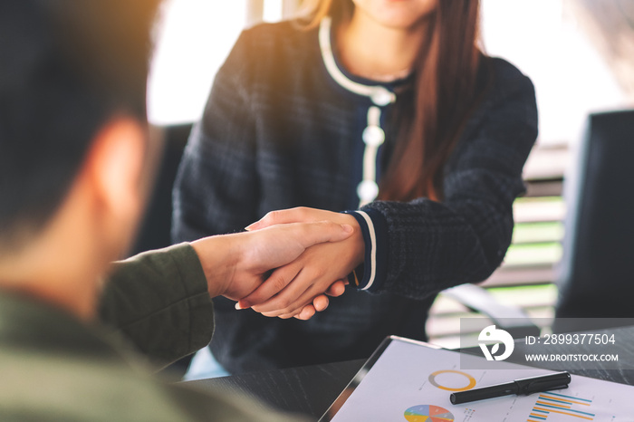 Closeup image of two businesspeople shaking hands in a meeting