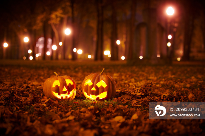 Two Kind Halloween Pumpkins in the park