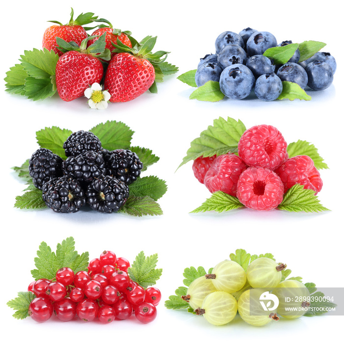 Sammlung Beeren Erdbeeren Blaubeeren Himbeeren Johannisbeeren Fr