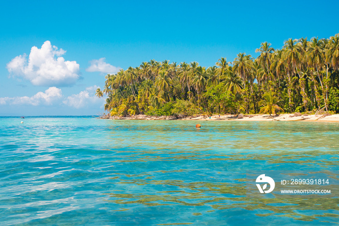 Palm island in the Caribbean Sea