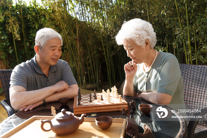 老年夫妇在院子里下棋