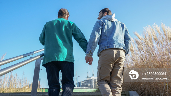 Rear view of gay couple ascending steps