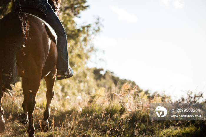 Galopp Richtung Sonnenuntergang