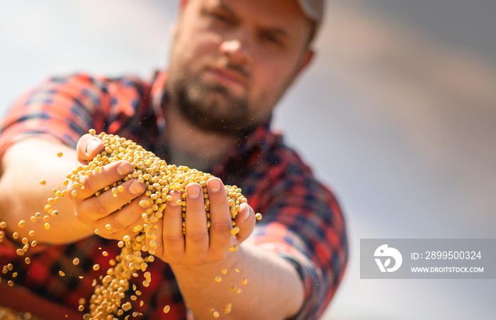 Farmer holding soy grains in his hands