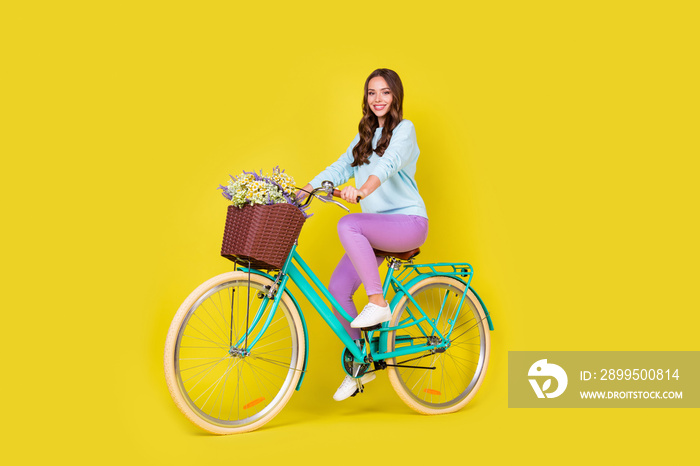 Full body size photo of pretty charming student girl riding retro unusual cycle road home after long work day wear blue pullover violet pants isolated vibrant yellow color background
