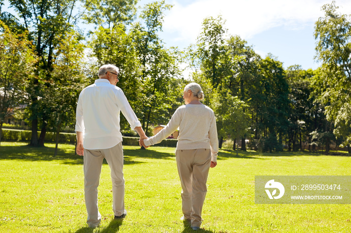 happy senior couple walking at summer city park