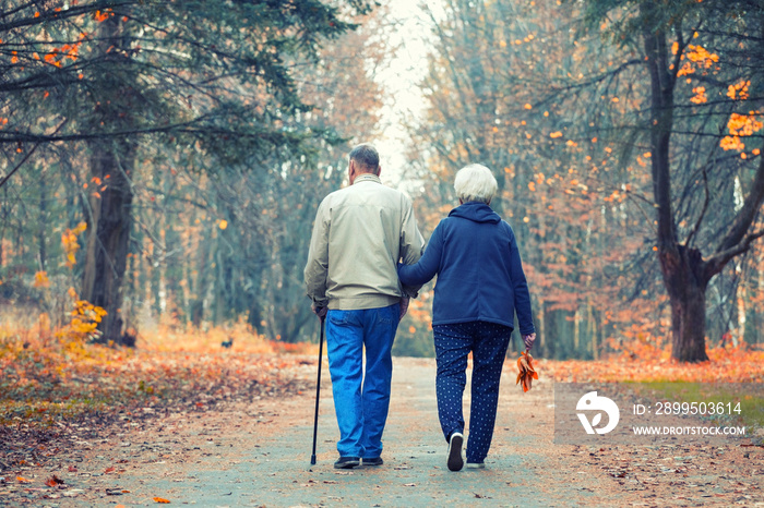 Senior couple walking in an autumn park.