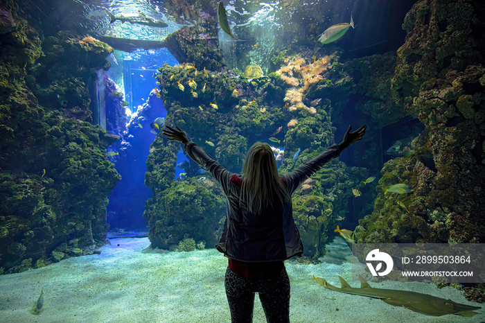 Woman silhouette with open arms observing tropical fishes through a big glass of coral reef aquarium. Sea turtle, blackchin guitarfish and sharks swimming on rocks. Bluespine Unicornfish and Porkfish.