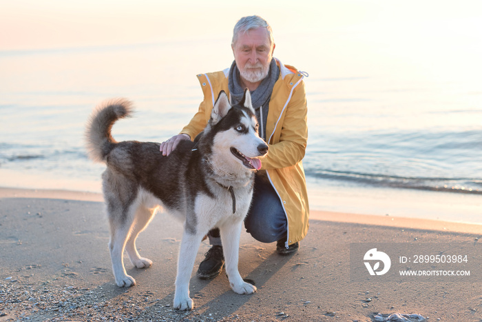 Bearded man with gray hair in a yellow raincoat with husky dog in collar on the beach